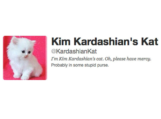 Kim Kardashian's Kat, Mercy, Twitter Kim Kardashian's Kat, Mercy, Twitter
